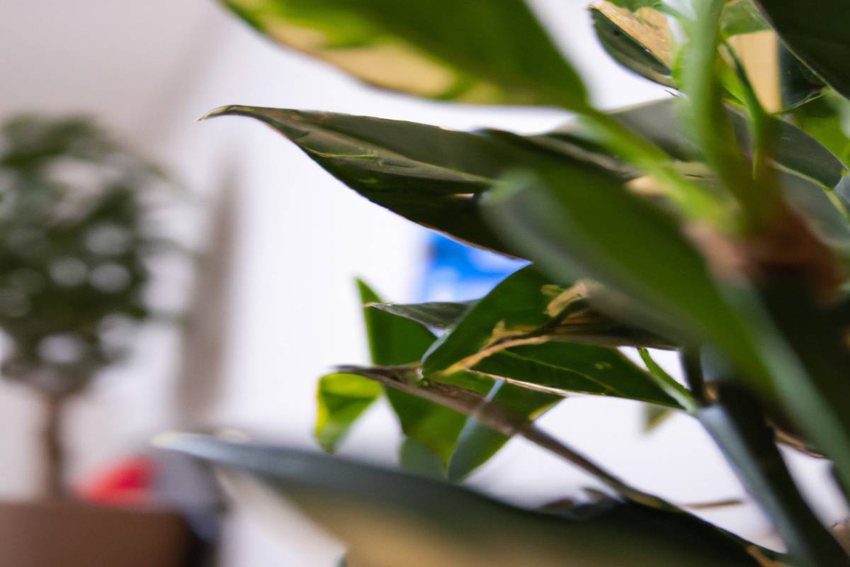 4 Signs That Your Houseplants Are Suffering